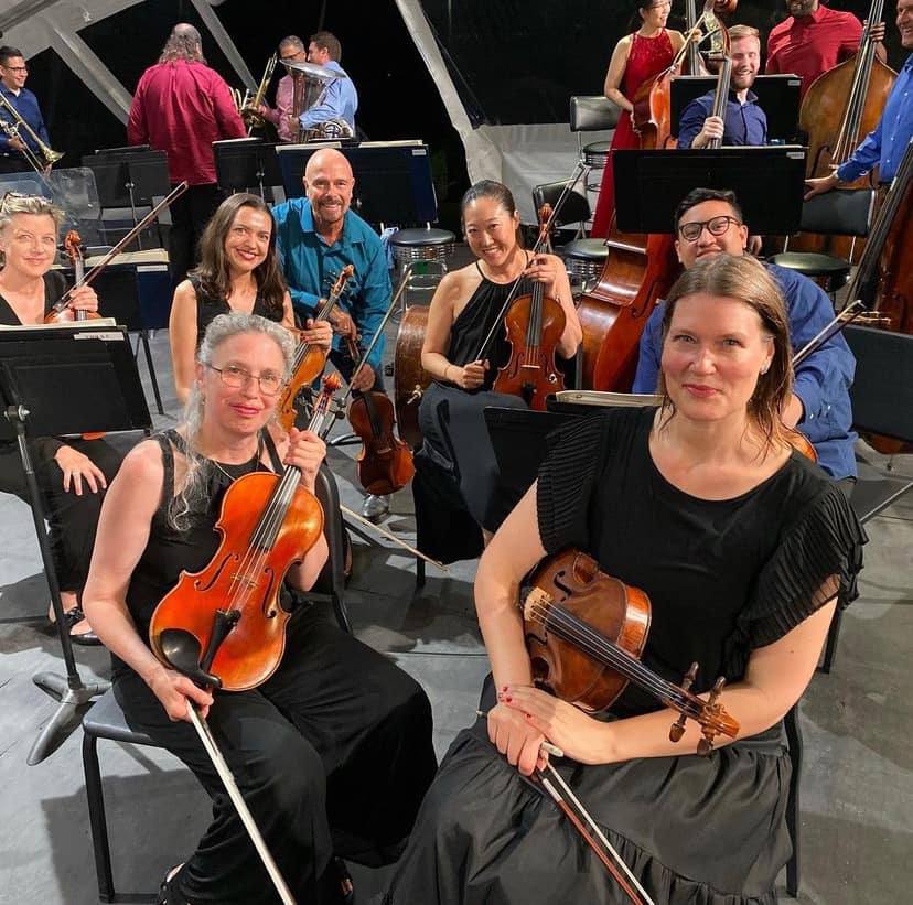Classical Tahoe violas